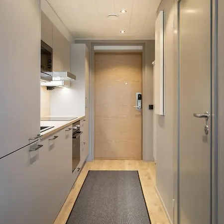 Apartment Levin Kunkku C4 Levi